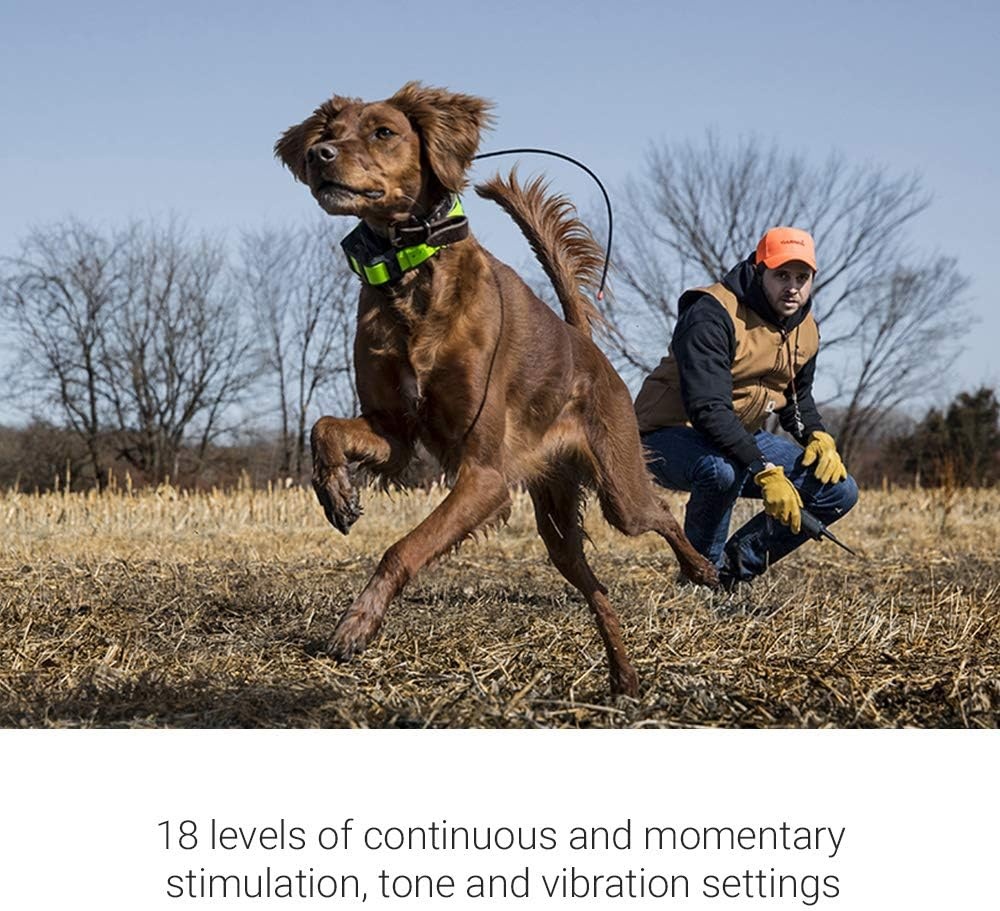 image:imageGarmin Pro 550 Plus Dog Training System with Simple GPS Tracking Collar and Handheld